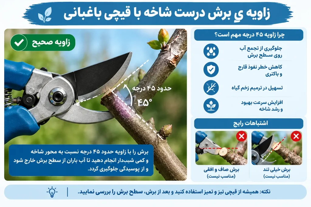 باغبانی