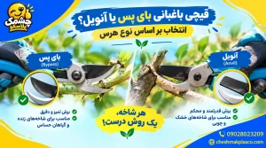قیچی بای پس